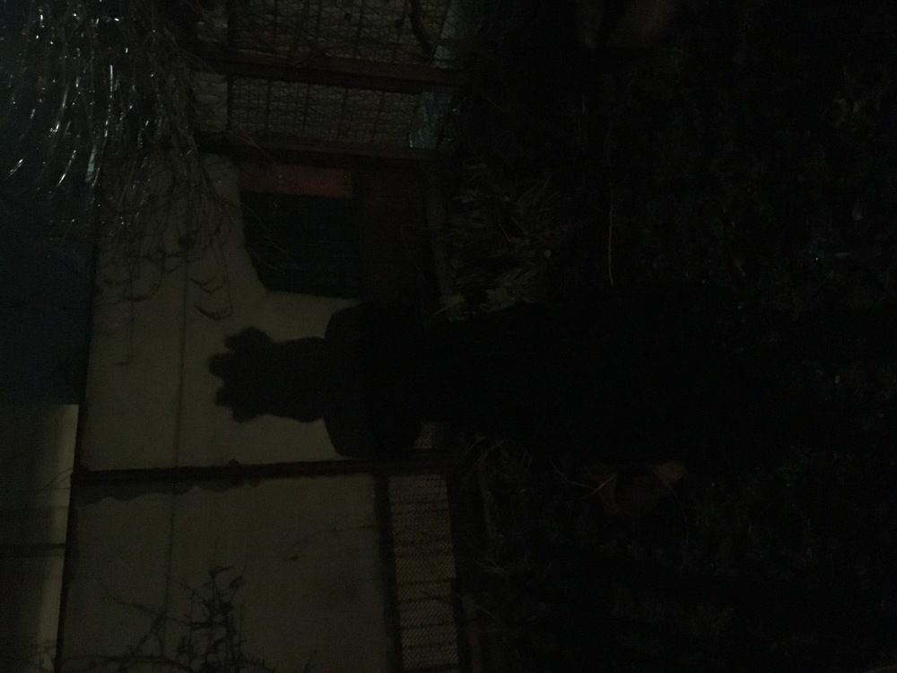 Photograph by Ангелина Марушко