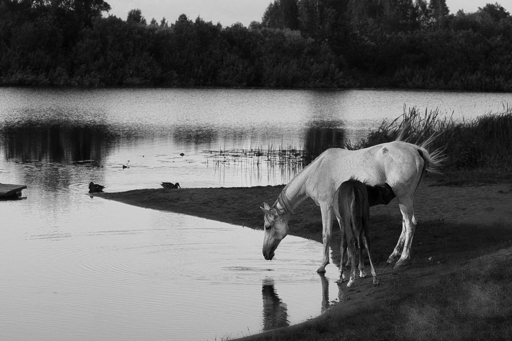 Семейная фотосессия