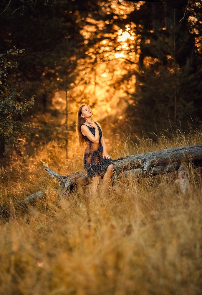 в теплых лучах