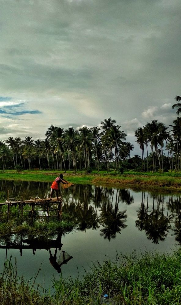 Photograph by Sreedath