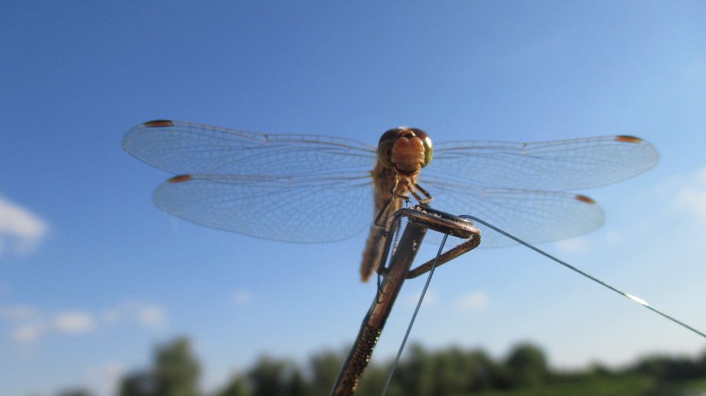 Photograph by Михалевич Машка