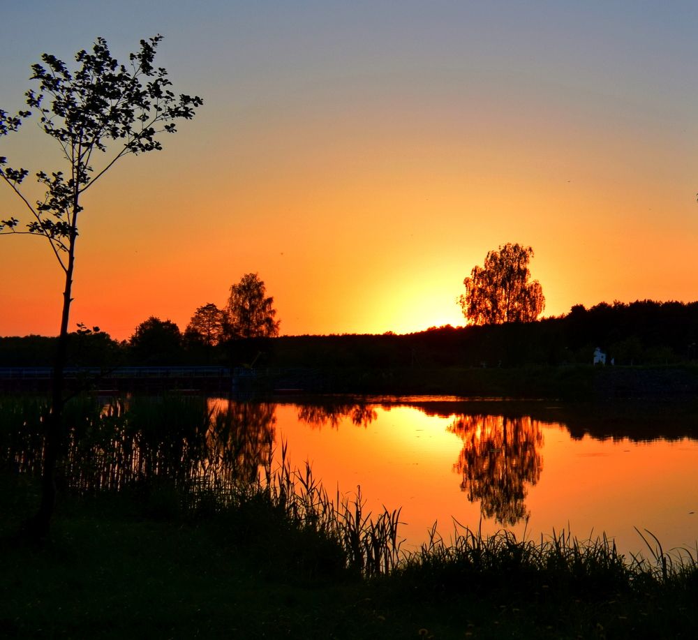 Photograph by Михалевич Машка