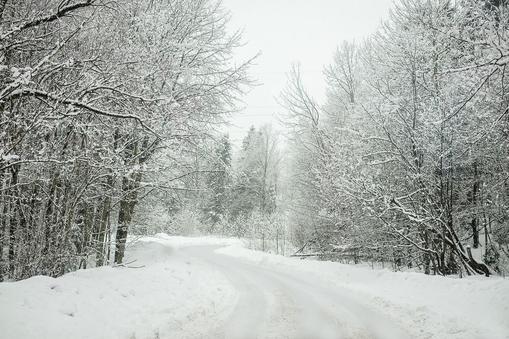 Photograph by Анастасия Мельник