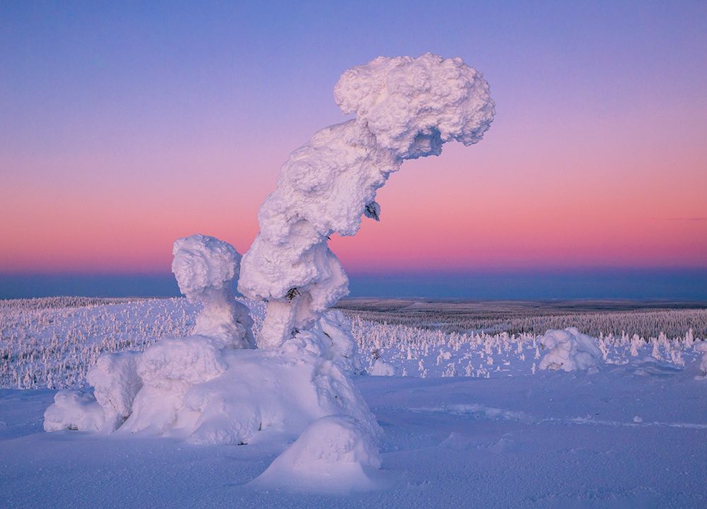 Стражи Лапландии