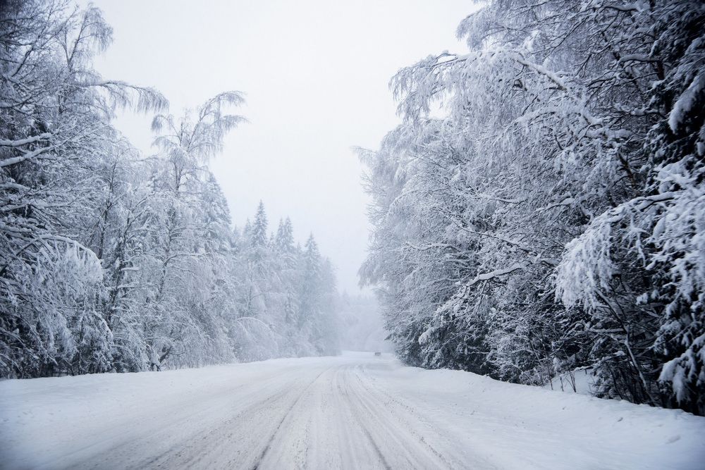 Photograph by Прокошева Екатерина
