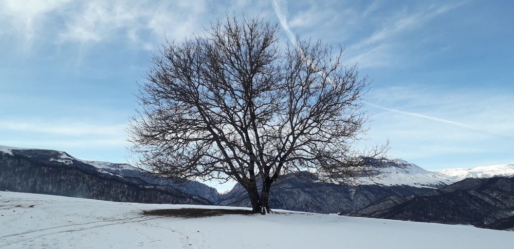 Азербайджан город Губа