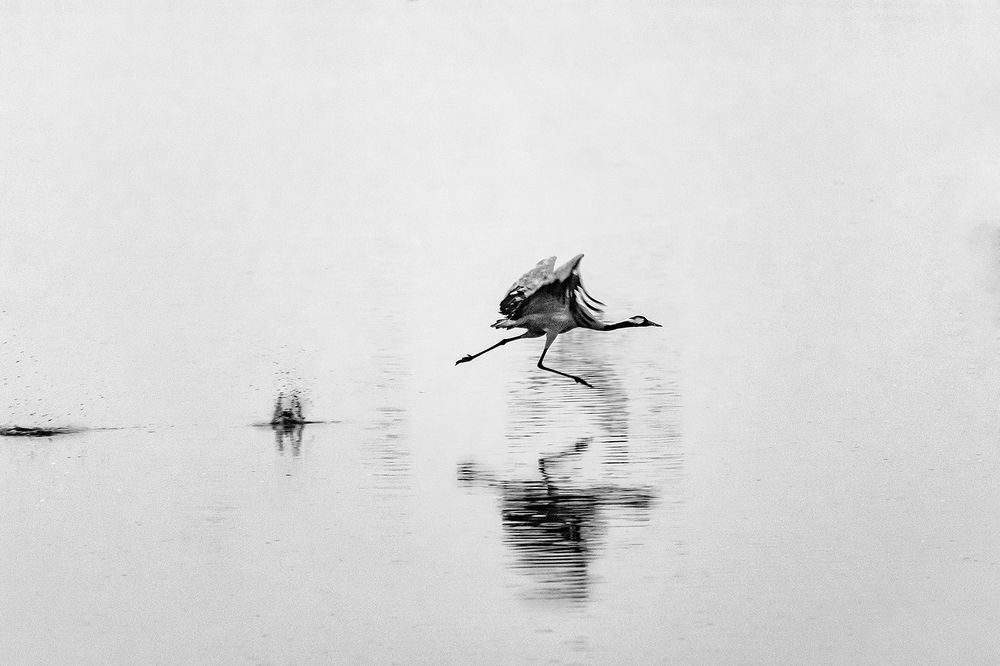 Photograph by Maxim Sayapin