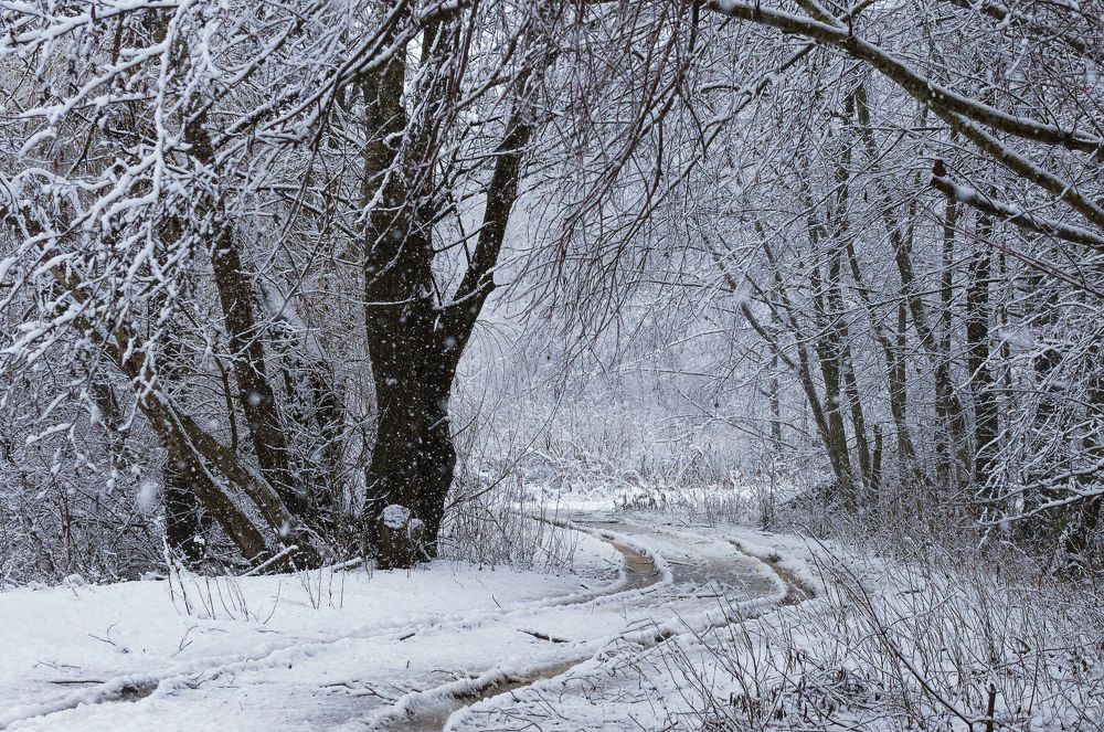 Photograph by Александр Орнатский