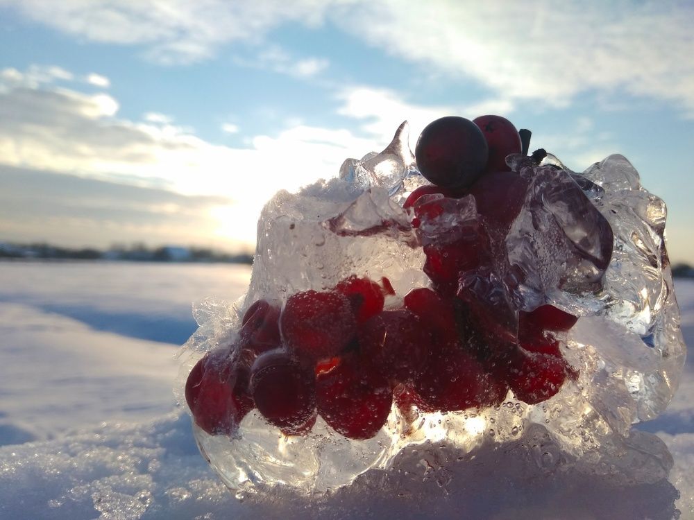 Замёрзшиая грость