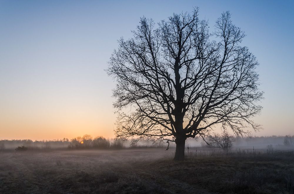 Рождение нового дня