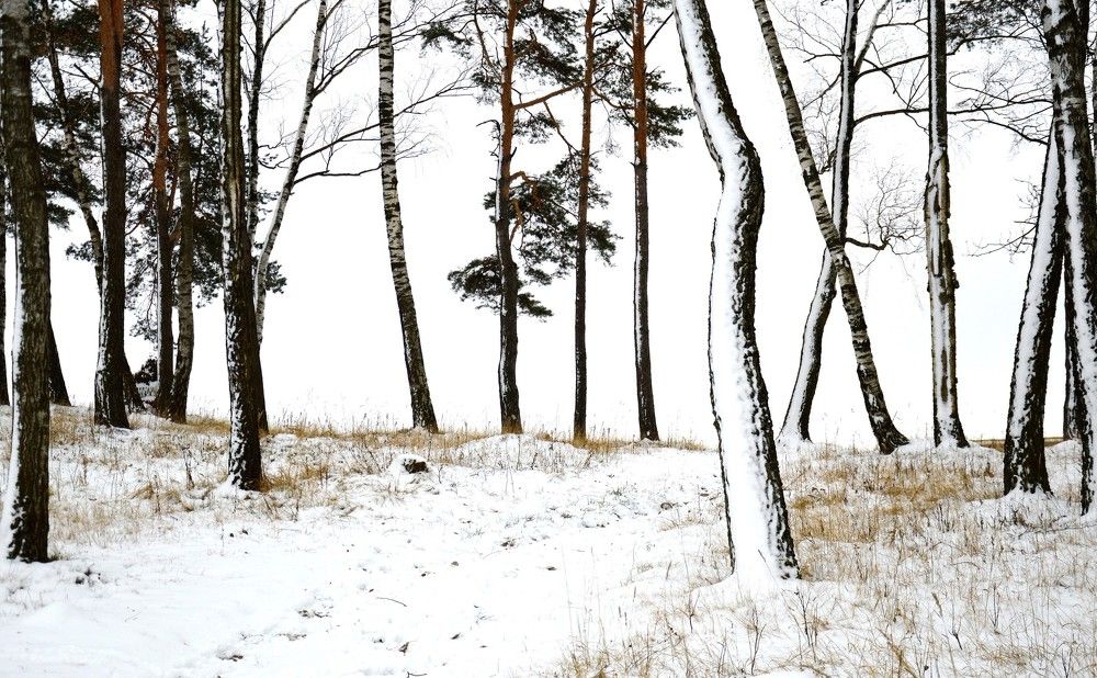 Снежный силуэт