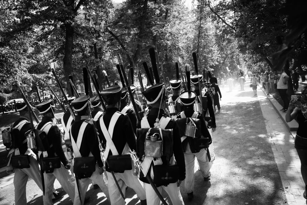 Войска России при Наполеоне