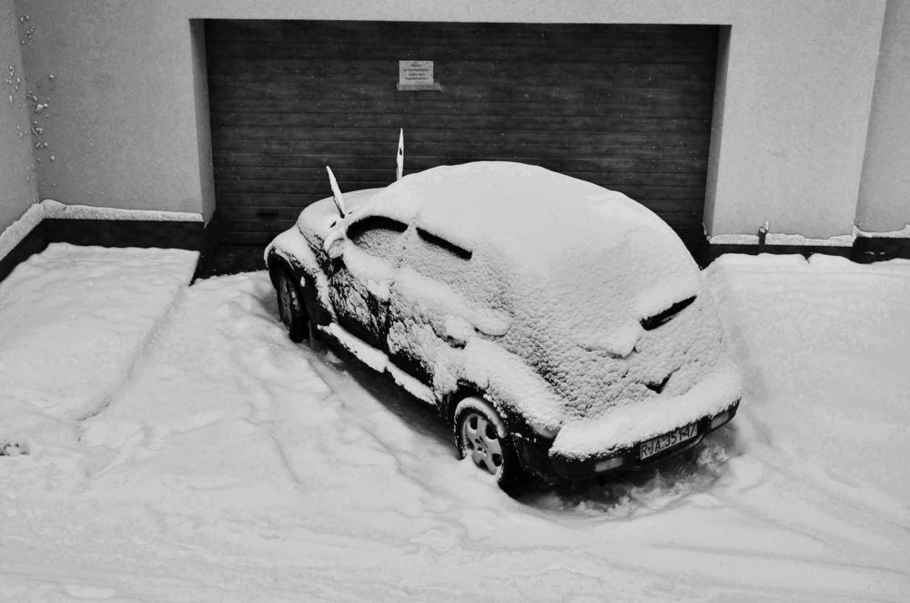 Winter car