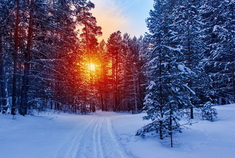 Winter sunrise
