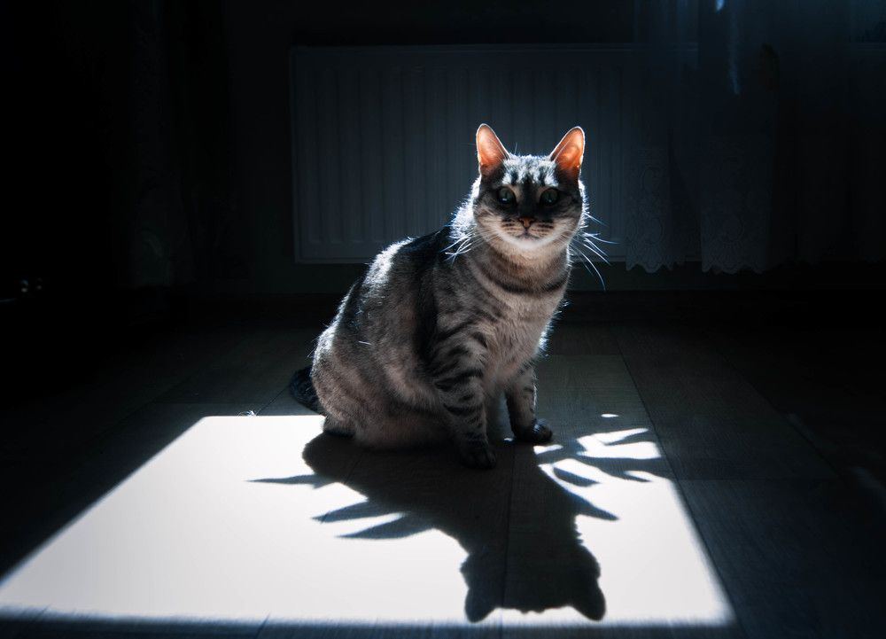 Photograph by Ольга Ломовцева