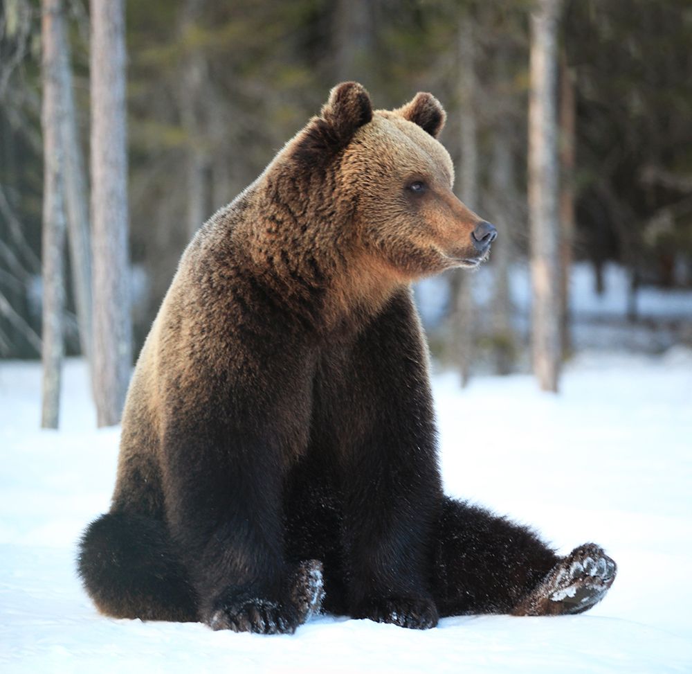 Когда же этот фотограф придёт?