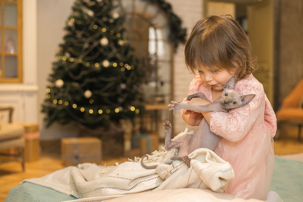 Photograph by Анастасия Мельник