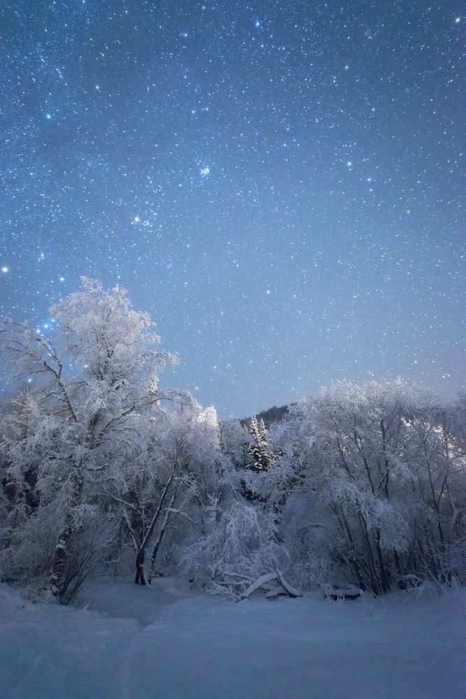 Зимняя ночь