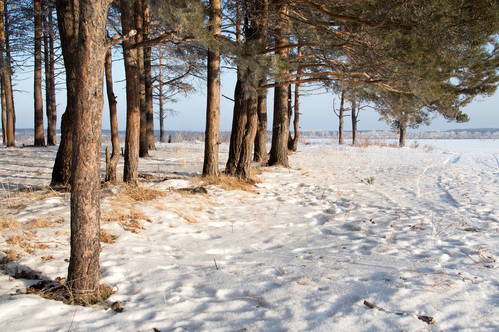 Малоснежный февраль