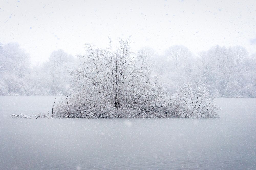 Photograph by Александр Орнатский