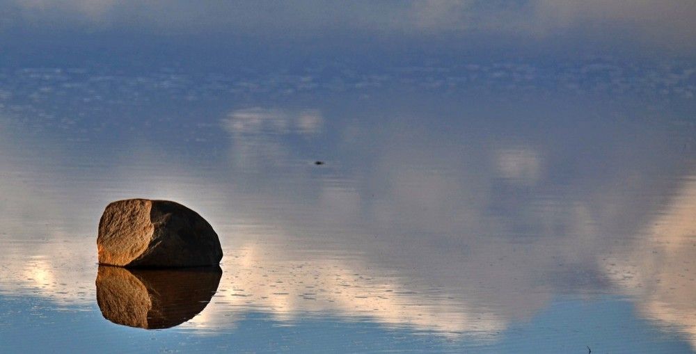 Photograph by Елена Боржковская