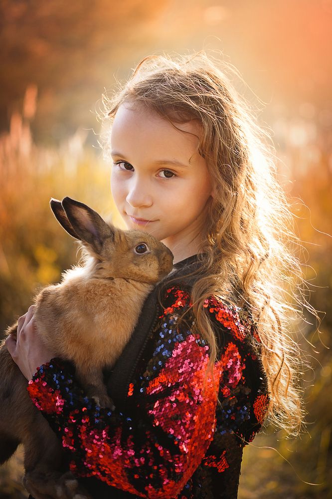 Солнечные зайчики