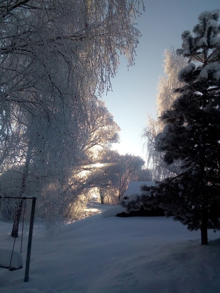 Утро