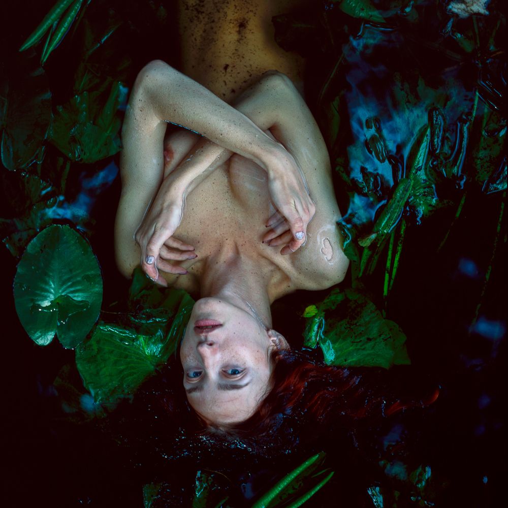 It All Began In Water two