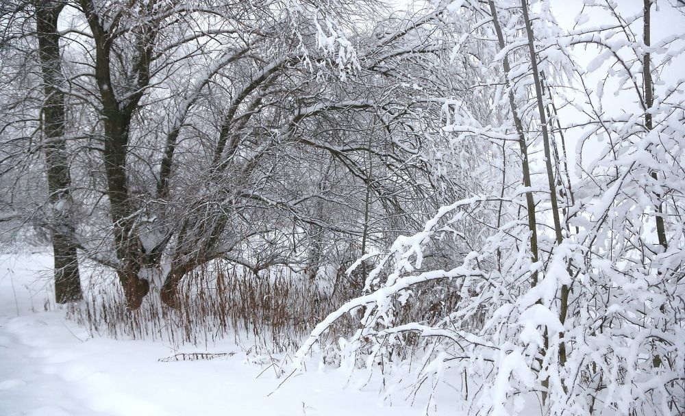 наступление зимы
