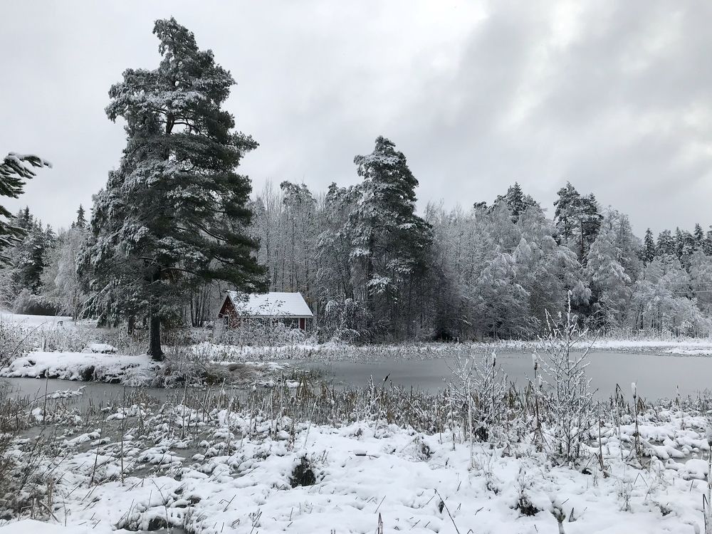 Домик в зимнем лесу