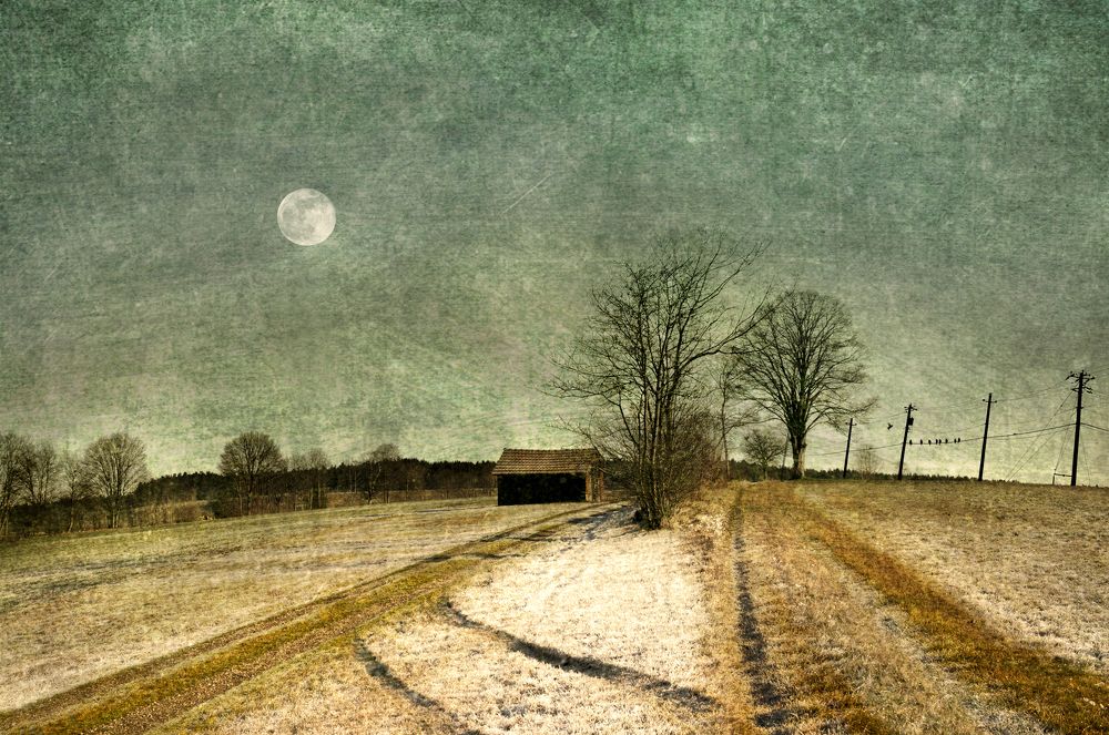 Waiting for the snow