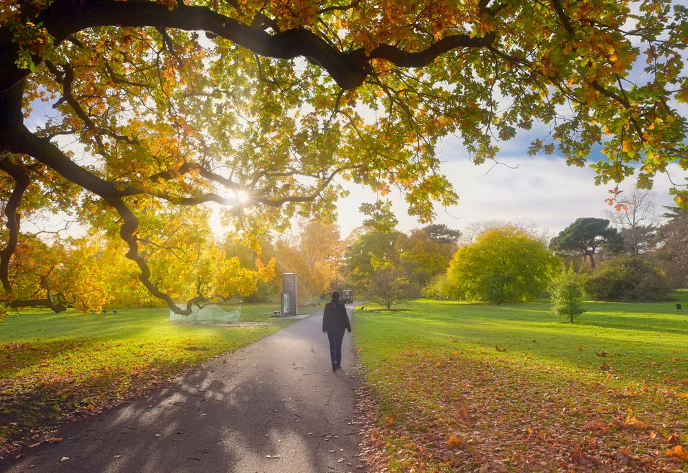 прогулки по осени