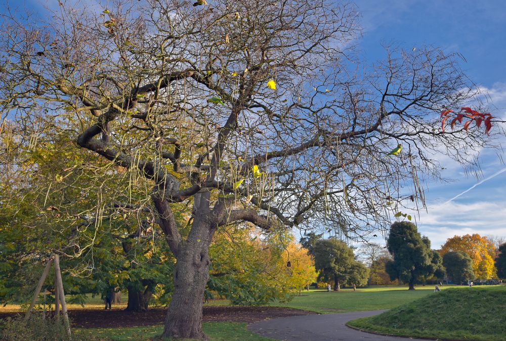 прогулки по осени