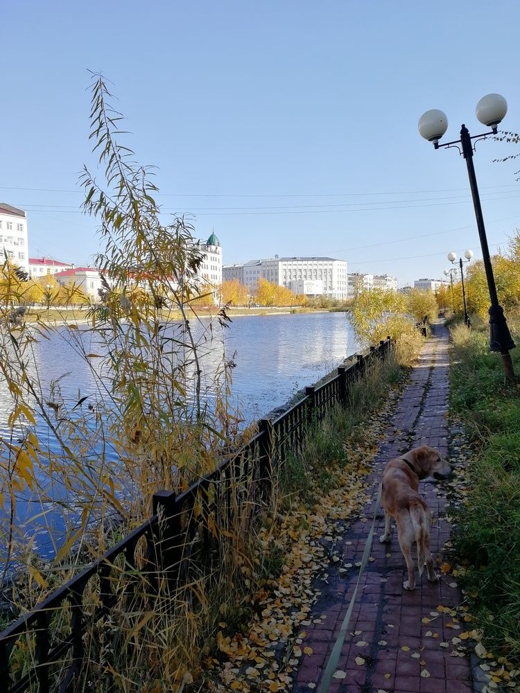 Прогулка вокруг озера.