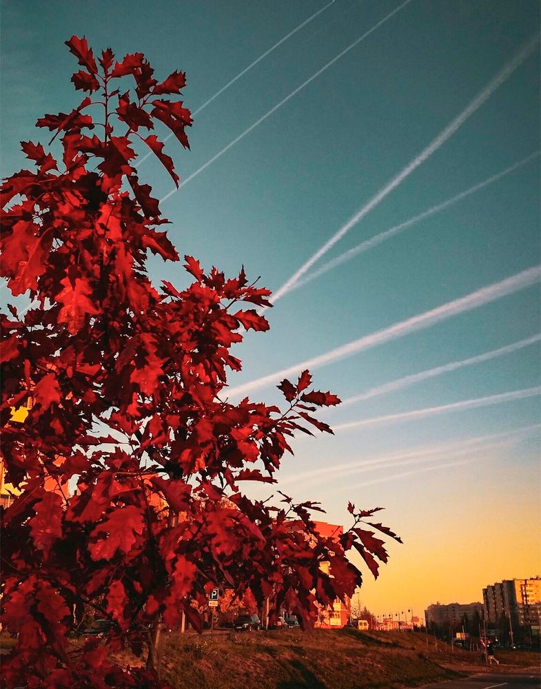 Photograph by Sergey