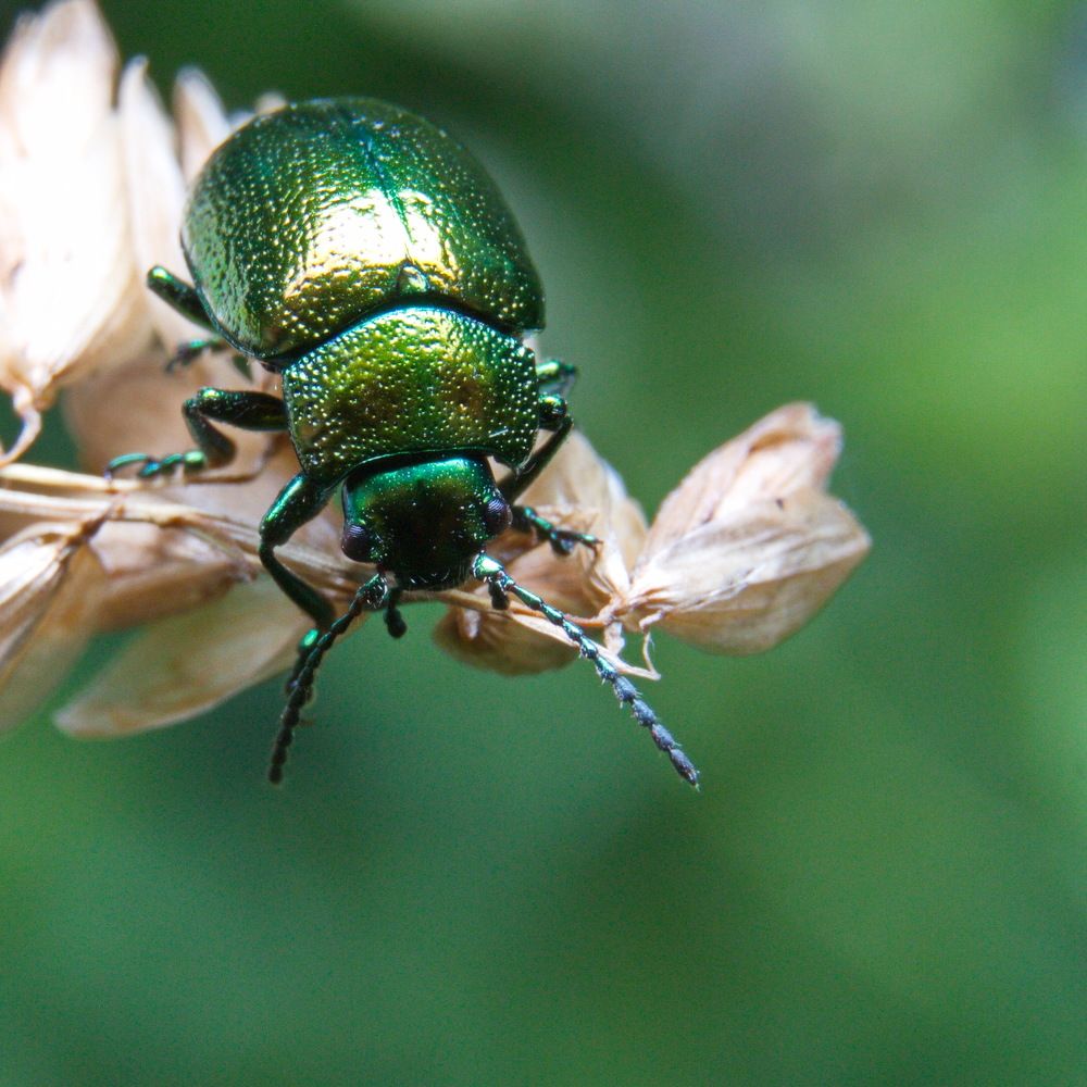 Photograph by Карякин Александр