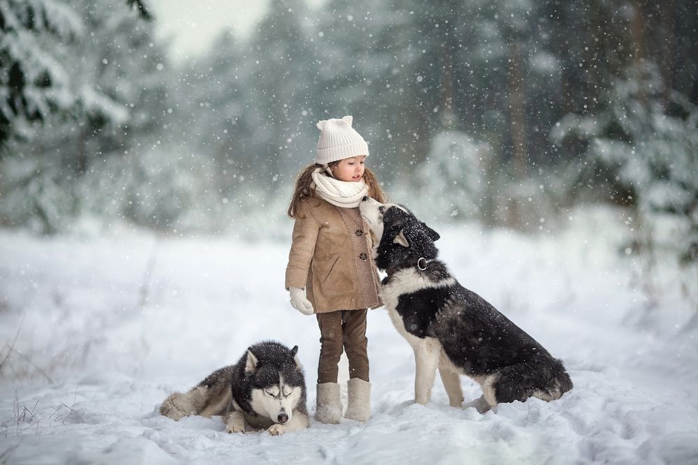 Photograph by Юлия Лоза