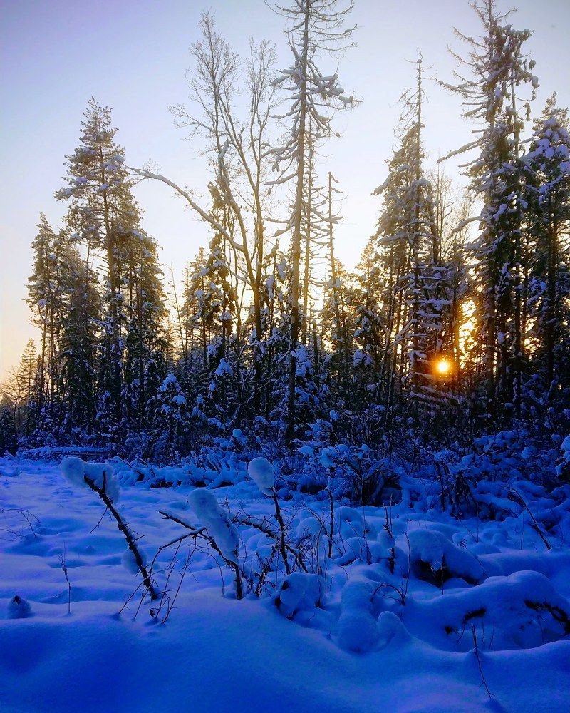 Зимний вечер