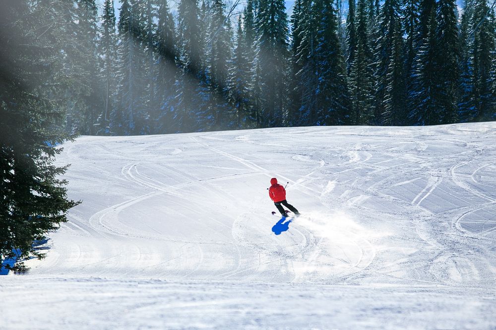 Горнолыжник