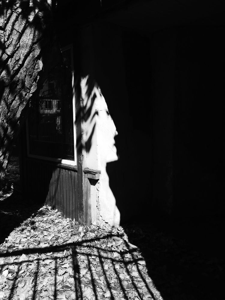 профиль света