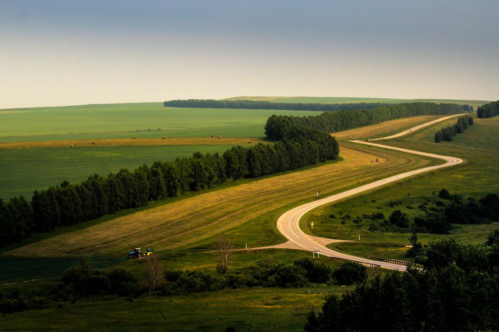 Алтайские поля