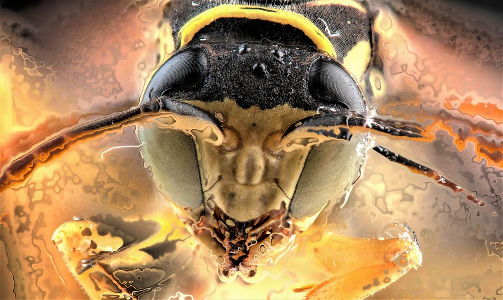 Photograph by Андрей Дмитров