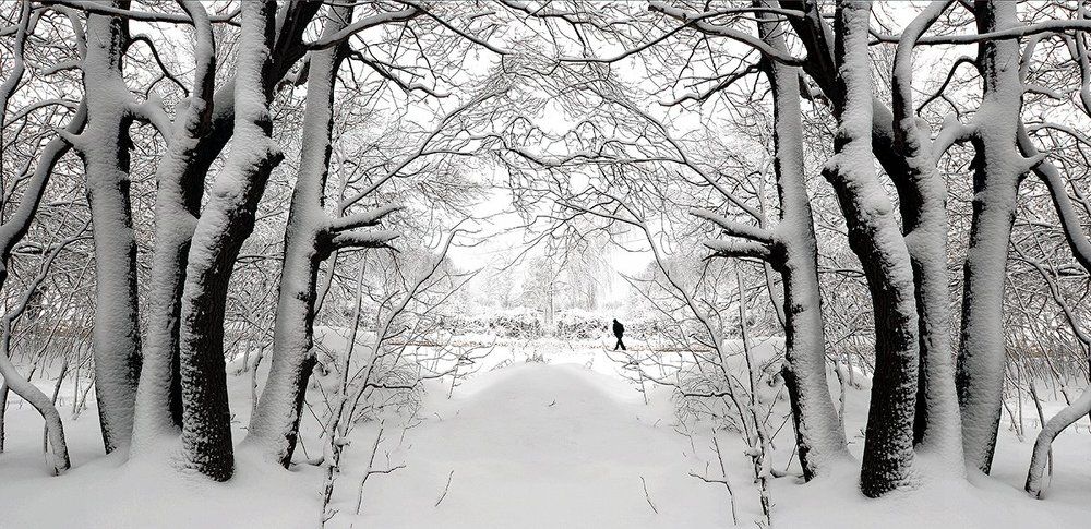 ЗИМНЯЯ ДОРОГА