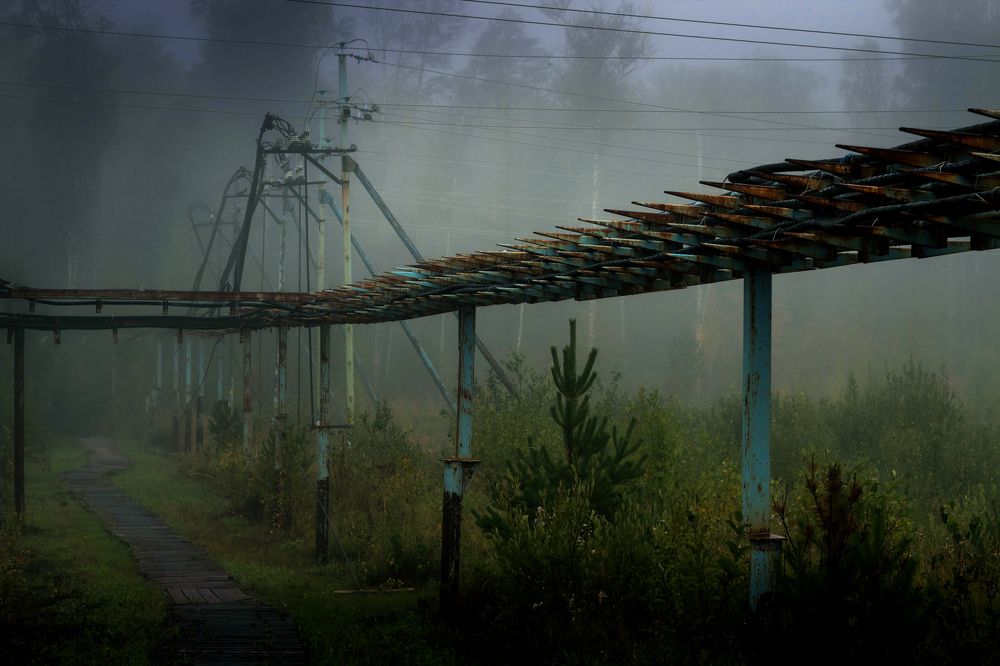 Туманное утро