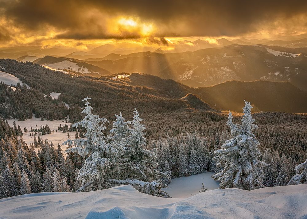 The story of the winter