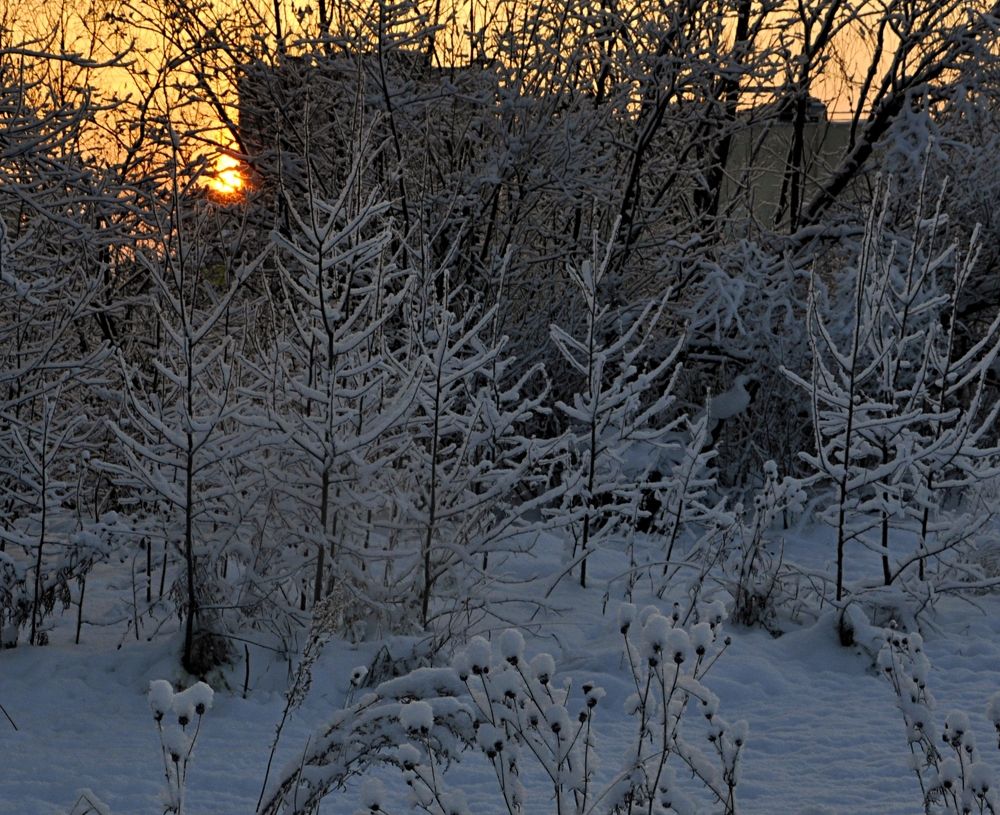 ЗИМНИЙ ВЕЧЕР