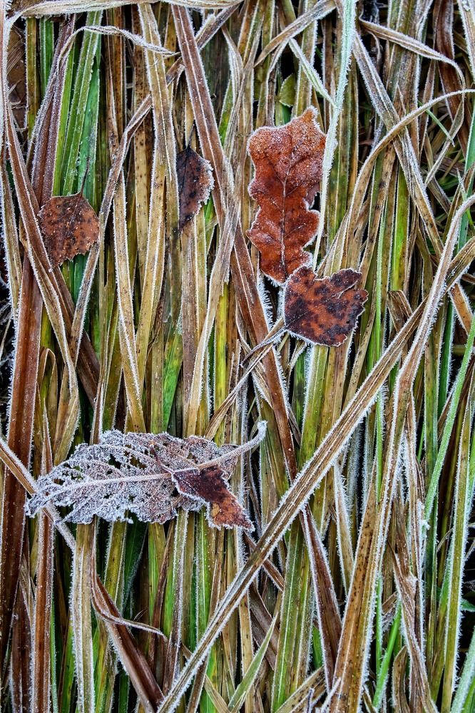 Ноябрь пишет.