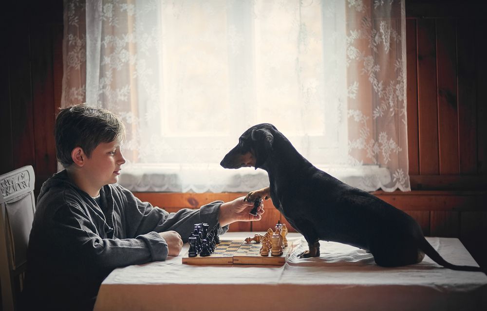 Давай с тобой сыграем, мой друг.