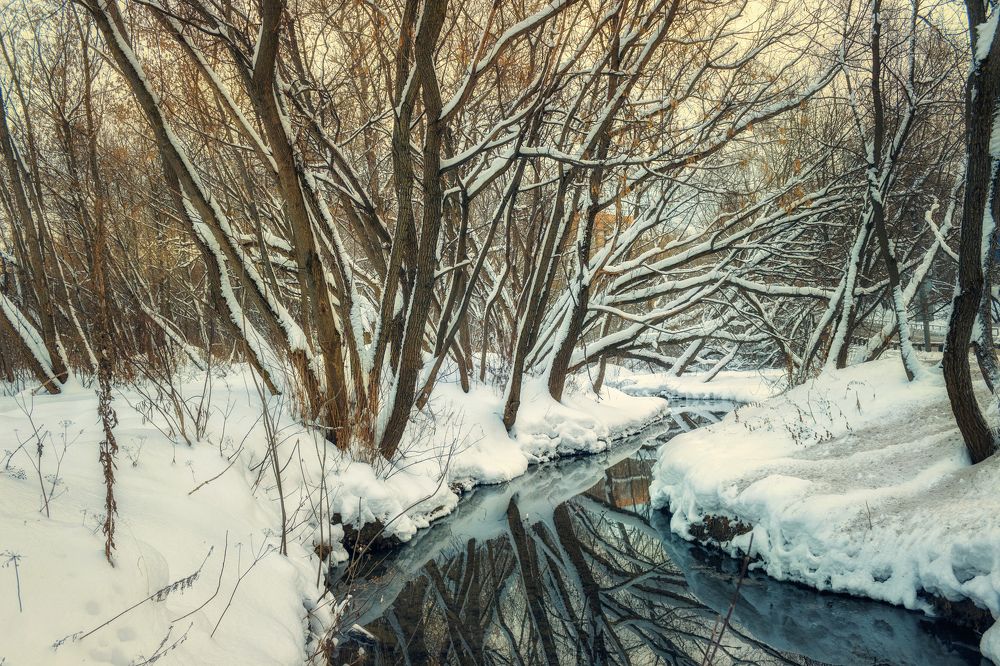 Зимний лес.