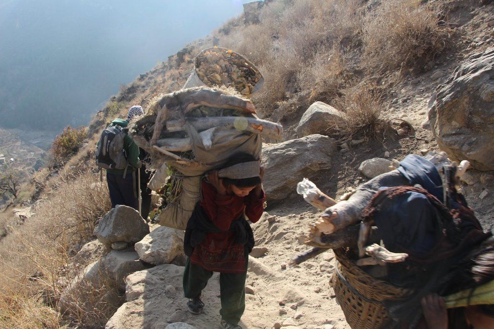 Women carrying logs for cooking fire
